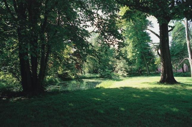 Broholm Castle Ξενοδοχείο Gudme Εξωτερικό φωτογραφία